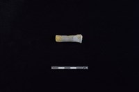 藏品(陶把)的圖片